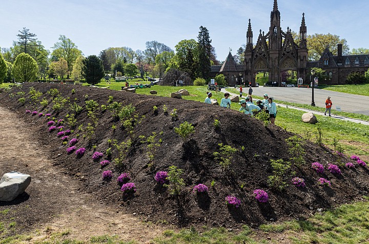 Beyond the Monument: Jean Shin’s Living Memorial at Green-Wood