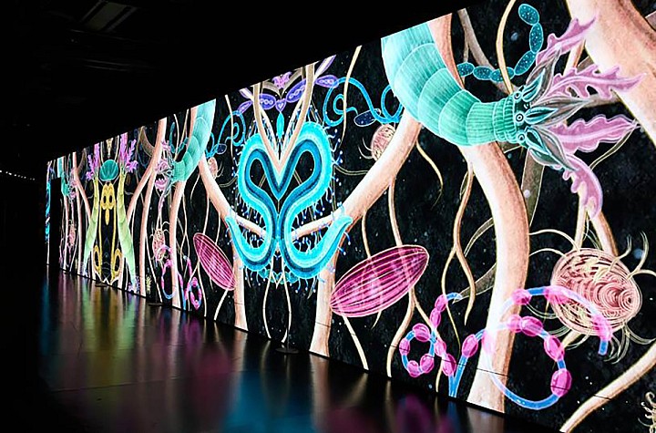 The Refinement of the Senses as a Survival Strategy: reSENSE’s Multisensory Convergence at Rockefeller Center