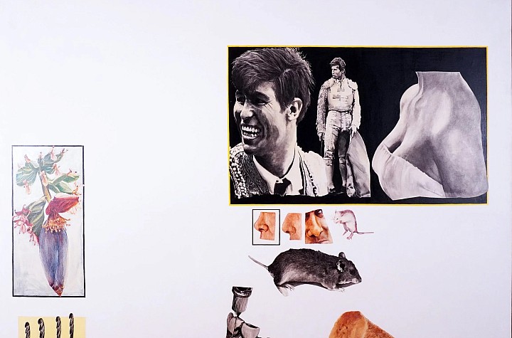 An Earlier Future: Joseph Raffael's White Ground Paintings at Nancy Hoffman Gallery