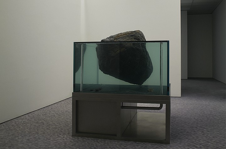 The Exhibition That No Longer Needs to Be Read: Pierre Huyghe and the Collapse of Curatorial Sovereignty  at Fondation Beyeler