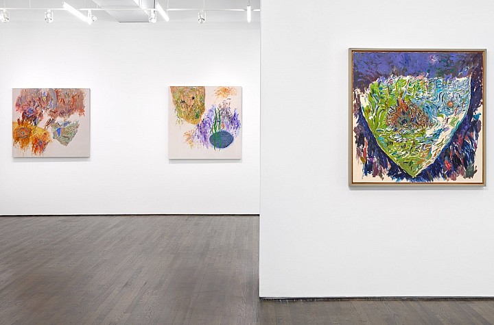 Run To See Goran Medak at White Columns (closing soon!)