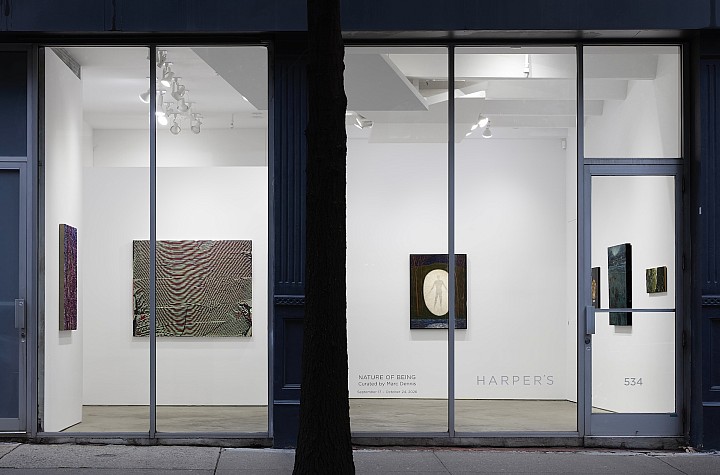 The Prereflective at Harper’s Gallery