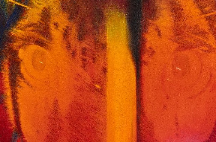 Last Week to See Halfway Out to Heaven: Nana Wolke at Management Gallery