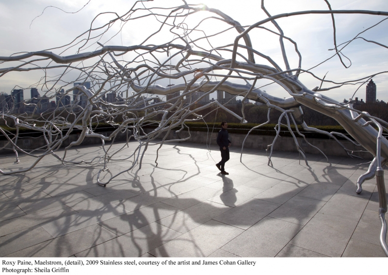 June 2009, A Tumultuous State of Affairs: Roxy Paine on the MET Roof